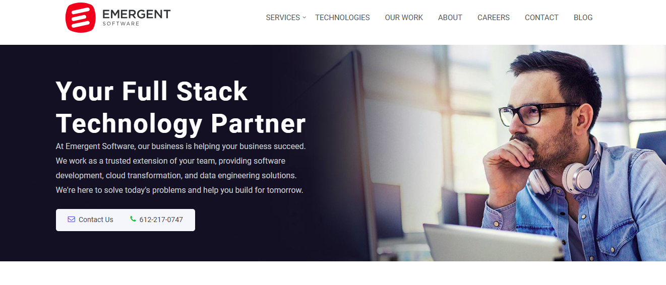 Emergent Software