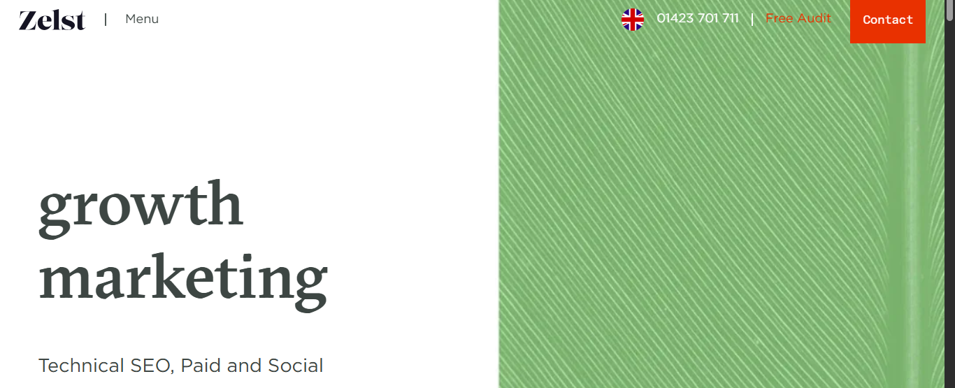 Zelst https://theadcompare.com